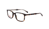 Rama Levi's LV5019 C086 54-19-145