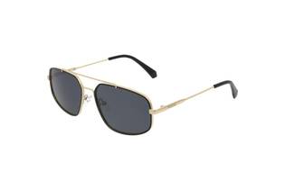 Ochelari de Soare Barbati, POLAROID - PLD2112/S 2M2