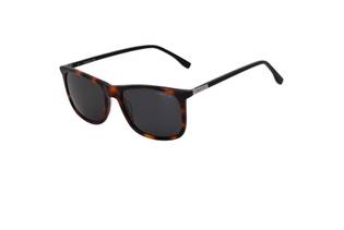 Ochelari de soare Cerruti CE8112c C03