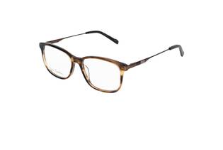 Rama Pierre Cardin P.C6213