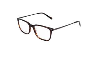 Rama Pierre Cardin P.C6253