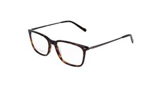 Rama Pierre Cardin P.C6235